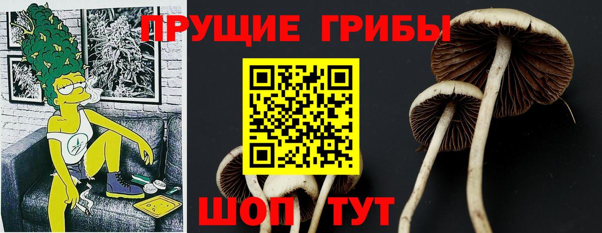 Галлюциногенные грибы прущие грибы  Псилоцибиновые грибы Cubensis  как найти закладки  Вход с VPN  Надым 